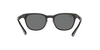 [Green Lenses, Polished Black Frame]