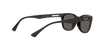 [Green Lenses, Polished Black Frame]