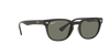 [Green Lenses, Polished Black Frame]