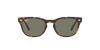 [Green Lenses, Polished Light Havana Frame]