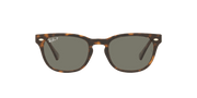 Green Lenses, Polished Light Havana Frame