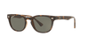 [Green Lenses, Polished Light Havana Frame]