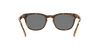 [Green Lenses, Polished Light Havana Frame]