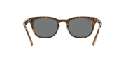 Green Lenses, Polished Light Havana Frame