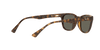 [Green Lenses, Polished Light Havana Frame]