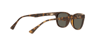 Green Lenses, Polished Light Havana Frame