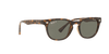 [Green Lenses, Polished Light Havana Frame]