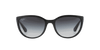 [Grey Lenses, Polished Black Frame]