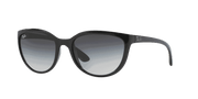 Grey Lenses, Polished Black Frame