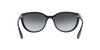 [Grey Lenses, Polished Black Frame]