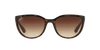 [Brown Lenses, Polished Light Havana Frame]