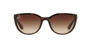 Brown Lenses, Polished Light Havana Frame