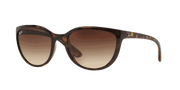 Brown Lenses, Polished Light Havana Frame