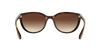 [Brown Lenses, Polished Light Havana Frame]