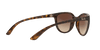 [Brown Lenses, Polished Light Havana Frame]