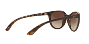 Brown Lenses, Polished Light Havana Frame