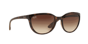 Brown Lenses, Polished Light Havana Frame