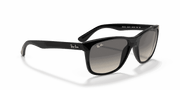 Grey Gradient Lenses, Polished Black Frame