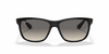 [Grey Gradient Lenses, Polished Black Frame]