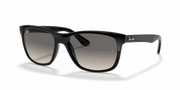 Grey Gradient Lenses, Polished Black Frame