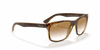 [Brown Lenses, Polished Light Havana Frame]