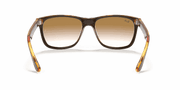 Brown Lenses, Polished Light Havana Frame