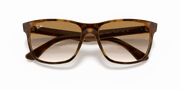 Brown Lenses, Polished Light Havana Frame