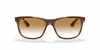 [Brown Lenses, Polished Light Havana Frame]