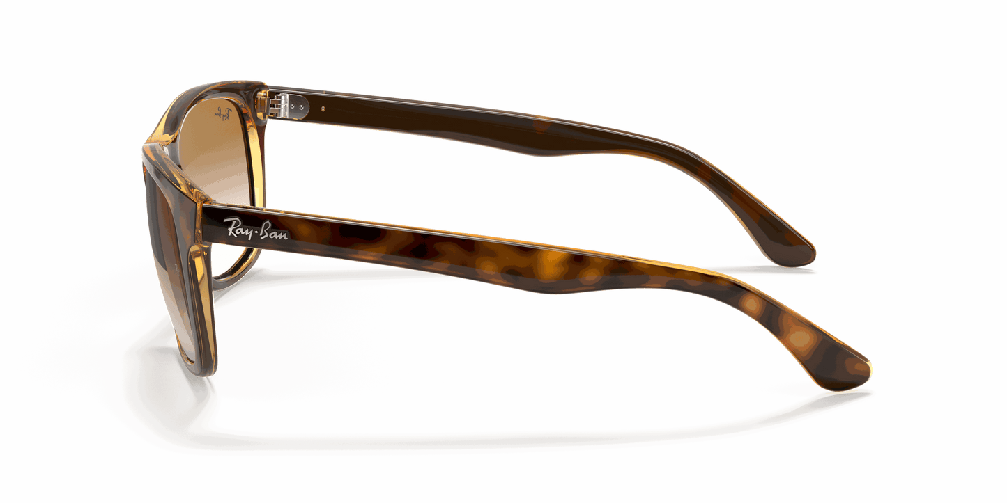 [Brown Lenses, Polished Light Havana Frame]