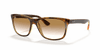 [Brown Lenses, Polished Light Havana Frame]