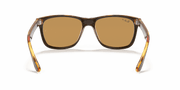 B-15 Brown Lenses, Polished Light Havana Frame