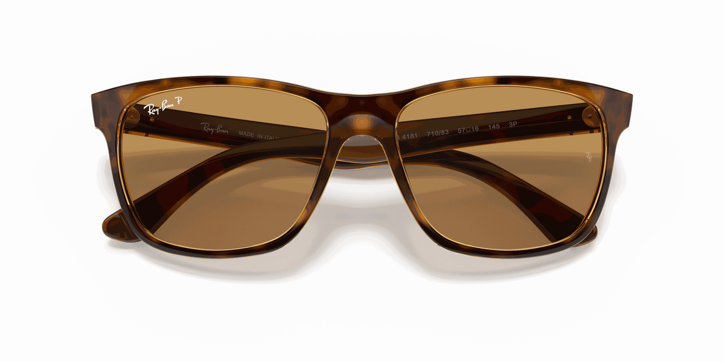 [B-15 Brown Lenses, Polished Light Havana Frame]