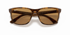 [B-15 Brown Lenses, Polished Light Havana Frame]