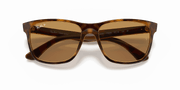 B-15 Brown Lenses, Polished Light Havana Frame