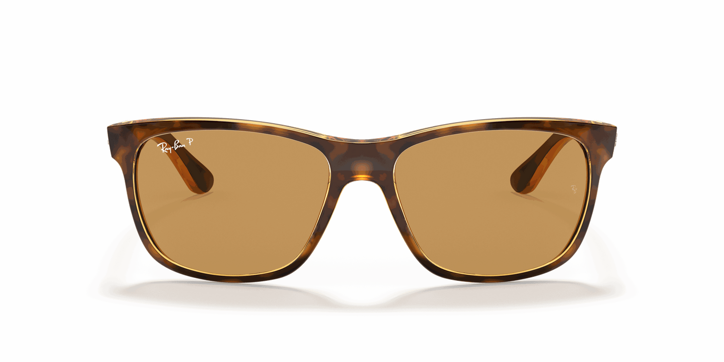 [B-15 Brown Lenses, Polished Light Havana Frame]