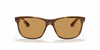 [B-15 Brown Lenses, Polished Light Havana Frame]