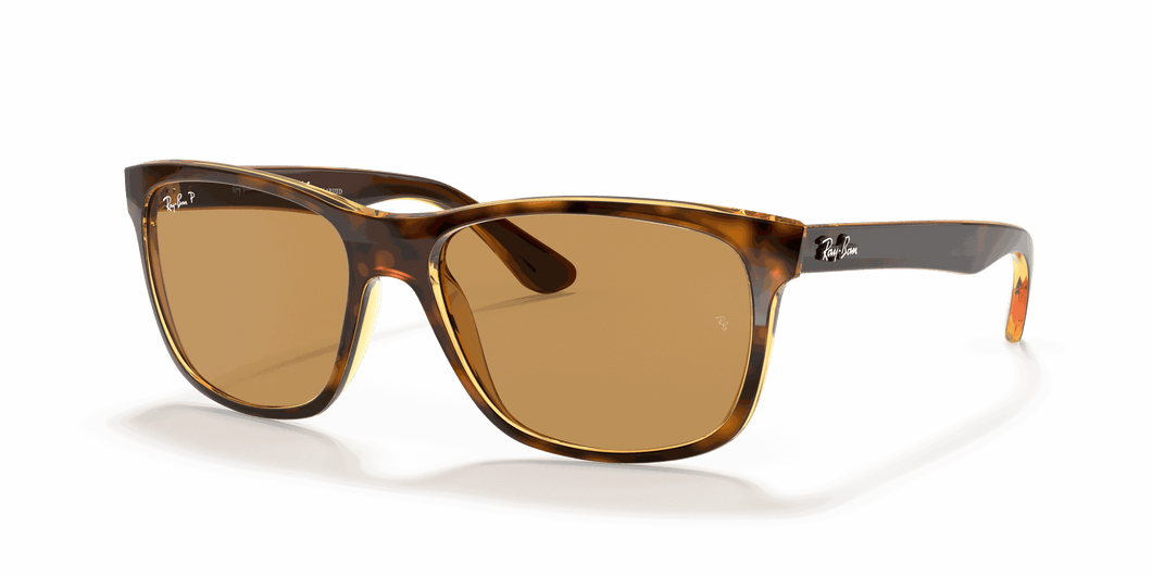 [B-15 Brown Lenses, Polished Light Havana Frame]