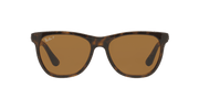 Brown Lenses, Polished Light Havana Frame