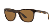 Brown Lenses, Polished Light Havana Frame