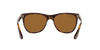 [Brown Lenses, Polished Light Havana Frame]