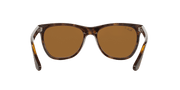 Brown Lenses, Polished Light Havana Frame