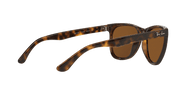 Brown Lenses, Polished Light Havana Frame