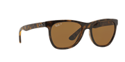 Brown Lenses, Polished Light Havana Frame