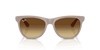 [Brown Gradient Lenses, Matte Matte Beige Frame]