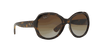 [Grey Lenses, Polished Light Havana Frame]