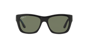 Green Lenses, Polished Black Frame