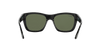 [Green Lenses, Polished Black Frame]