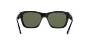 Green Lenses, Polished Black Frame