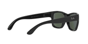 Green Lenses, Polished Black Frame