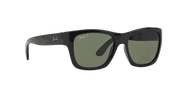 Green Lenses, Polished Black Frame